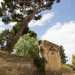 Su via Cimmarusti, si trovano alberi secolari che rendono ombrosa la silenziosa strada allietata dalle note provenienti dal Conservatorio. Qui ci imbattiamo in un alto muro rimasto isolato, privo del suo contesto originario, con tanto di monumentale portale ad arco chiuso da mattoni